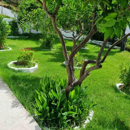 Lejlighedshotel Mango 3*